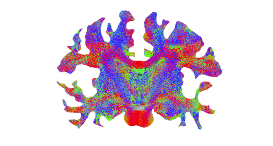 Neuroconnectivity and Tractography (Neurocat) Lab